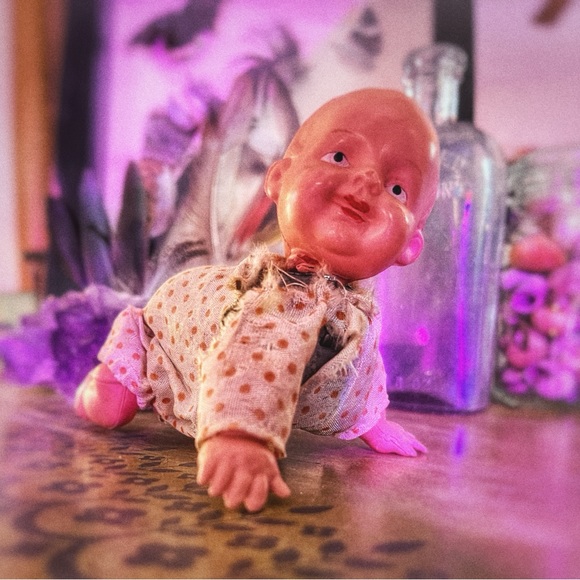 Oddities & Curiosities MYSTERY Box - Picture 1 of 8